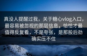 真没人提醒过我，关于糖心vlog入口，最容易被忽视的那层信息，恰恰才最值得反复看，不是夸张，是那股后劲确实压不住