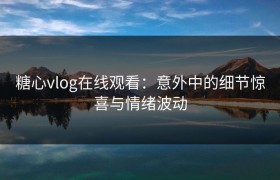 糖心vlog在线观看：意外中的细节惊喜与情绪波动