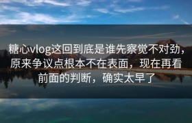 糖心vlog这回到底是谁先察觉不对劲，原来争议点根本不在表面，现在再看前面的判断，确实太早了