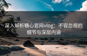 深入解析糖心官网vlog：不容忽视的细节与深层内涵