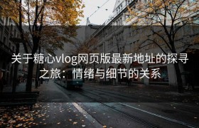关于糖心vlog网页版最新地址的探寻之旅：情绪与细节的关系