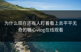 为什么现在还有人盯着看上去平平无奇的糖心vlog在线观看