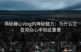 揭秘糖心Vlog的神秘魅力：为什么它在观众心中如此重要
