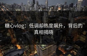 糖心vlog：低调却热度飙升，背后的真相揭晓