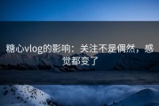糖心vlog的影响：关注不是偶然，感觉都变了