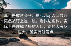 真不是故意夸张，糖心vlog入口最近突然被盯上这一波，看似边角料，实际上是理解全局的入口，别怪大家反应大，确实有触发点