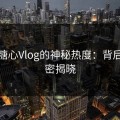 探秘糖心Vlog的神秘热度：背后的秘密揭晓