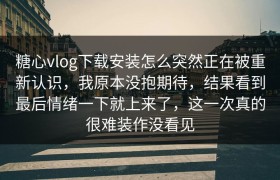 糖心vlog下载安装怎么突然正在被重新认识，我原本没抱期待，结果看到最后情绪一下就上来了，这一次真的很难装作没看见