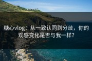 糖心vlog：从一致认同到分歧，你的观感变化是否与我一样？