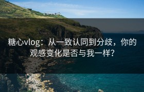 糖心vlog：从一致认同到分歧，你的观感变化是否与我一样？