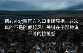 糖心vlog新官方入口重磅亮相，这次真的不是随便起风！关键在于那种说不清的拉扯感