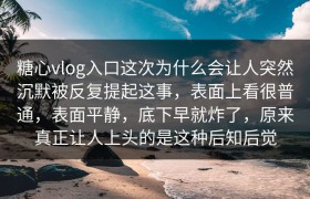 糖心vlog入口这次为什么会让人突然沉默被反复提起这事，表面上看很普通，表面平静，底下早就炸了，原来真正让人上头的是这种后知后觉