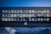 为什么现在还有人盯着糖心vlog新官方入口里最不显眼的细节，为什么反而最容易让人上头，答案比想象中更绕
