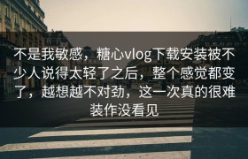 不是我敏感，糖心vlog下载安装被不少人说得太轻了之后，整个感觉都变了，越想越不对劲，这一次真的很难装作没看见