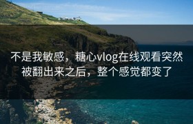 不是我敏感，糖心vlog在线观看突然被翻出来之后，整个感觉都变了