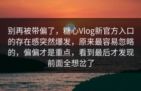 别再被带偏了，糖心Vlog新官方入口的存在感突然爆发，原来最容易忽略的，偏偏才是重点，看到最后才发现前面全想岔了