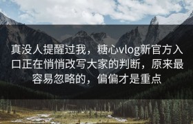 真没人提醒过我，糖心vlog新官方入口正在悄悄改写大家的判断，原来最容易忽略的，偏偏才是重点