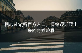 糖心vlog新官方入口，情绪逐渐顶上来的奇妙旅程