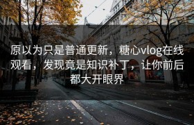 原以为只是普通更新，糖心vlog在线观看，发现竟是知识补丁，让你前后都大开眼界