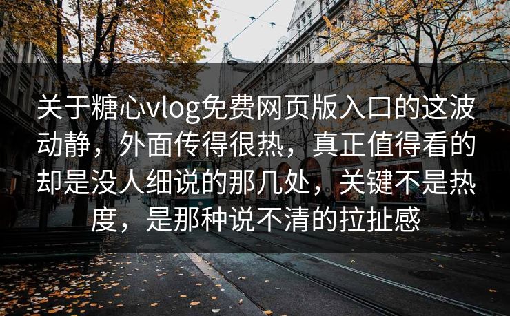 关于糖心vlog免费网页版入口的这波动静，外面传得很热，真正值得看的却是没人细说的那几处，关键不是热度，是那种说不清的拉扯感