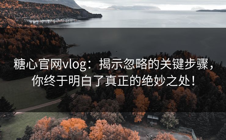 糖心官网vlog：揭示忽略的关键步骤，你终于明白了真正的绝妙之处！