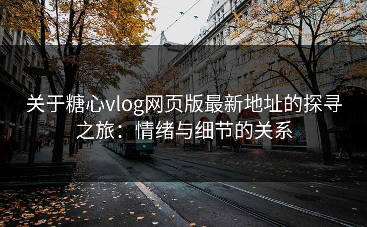 关于糖心vlog网页版最新地址的探寻之旅：情绪与细节的关系