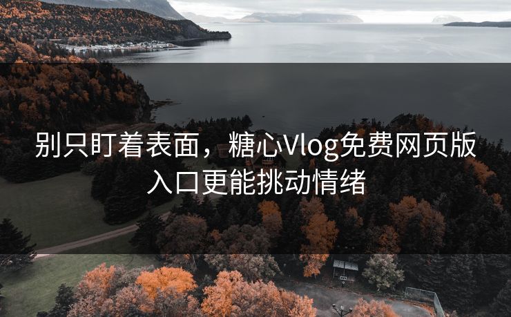 别只盯着表面，糖心Vlog免费网页版入口更能挑动情绪
