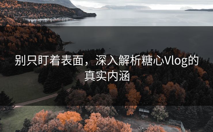 别只盯着表面，深入解析糖心Vlog的真实内涵