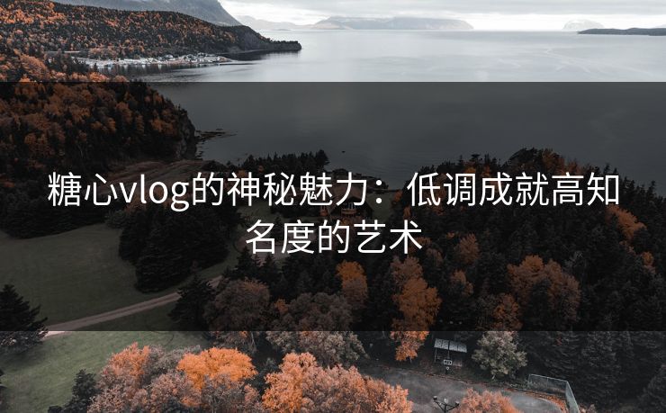 糖心vlog的神秘魅力：低调成就高知名度的艺术