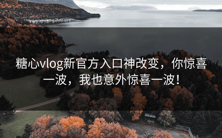 糖心vlog新官方入口神改变，你惊喜一波，我也意外惊喜一波！
