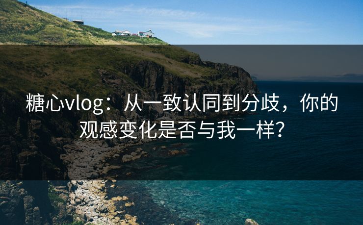 糖心vlog：从一致认同到分歧，你的观感变化是否与我一样？