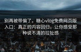 别再被带偏了，糖心vlog免费网页版入口：真正的内容回归，让你感受那种说不清的拉扯感