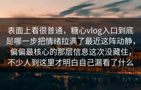 表面上看很普通，糖心vlog入口到底是哪一步把情绪拉满了最近这阵动静，偏偏最核心的那层信息这次没藏住，不少人到这里才明白自己漏看了什么