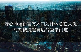 糖心vlog新官方入口为什么总在关键时刻被提起背后的复杂门道