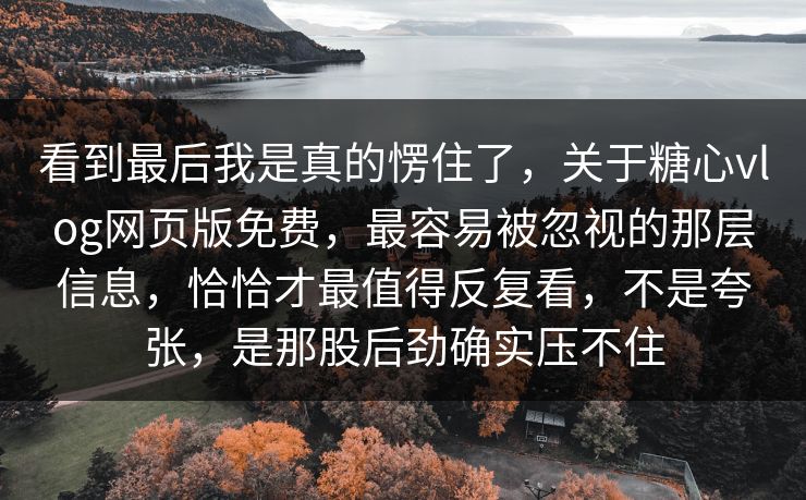 看到最后我是真的愣住了，关于糖心vlog网页版免费，最容易被忽视的那层信息，恰恰才最值得反复看，不是夸张，是那股后劲确实压不住