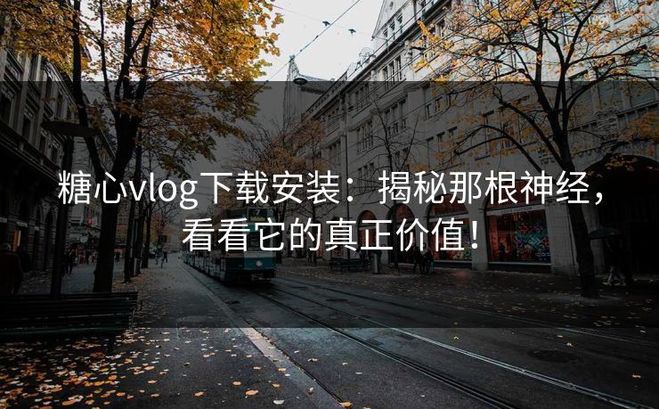 糖心vlog下载安装：揭秘那根神经，看看它的真正价值！